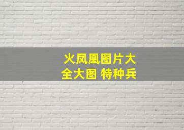 火凤凰图片大全大图 特种兵